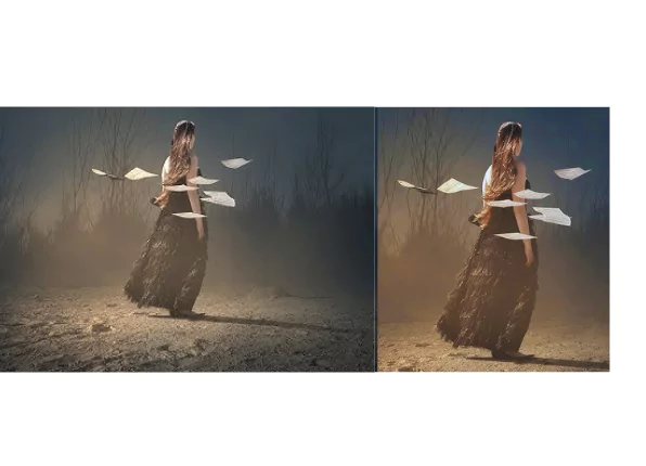 lighting-and-shadow-adjustments